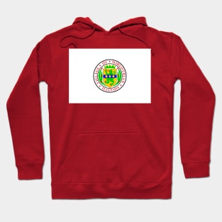 Flag of Midlothian, Illinois Hoodie